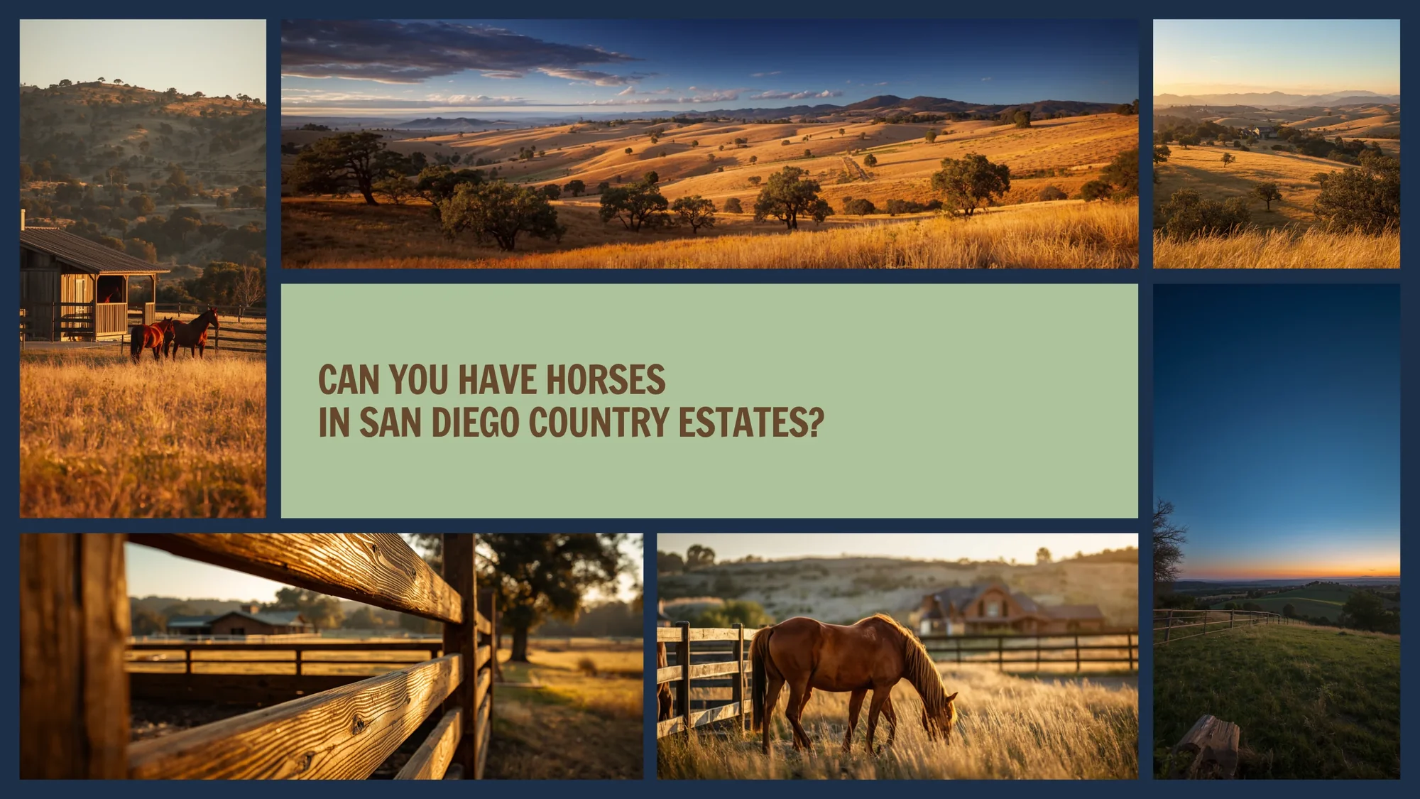 Horses in San Diego Country Estates Ramona CA — equestrian community with miles of trails
